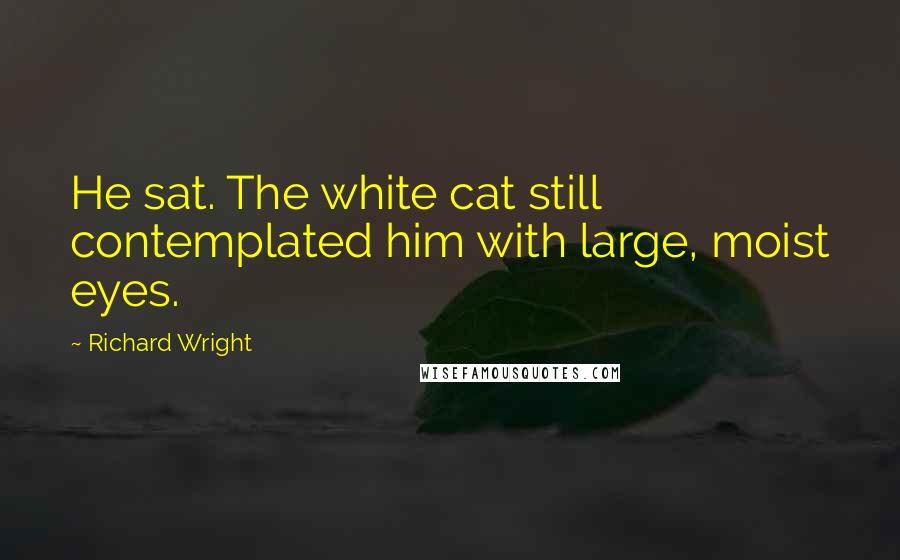 Richard Wright quotes: He sat. The white cat still contemplated him with large, moist eyes.