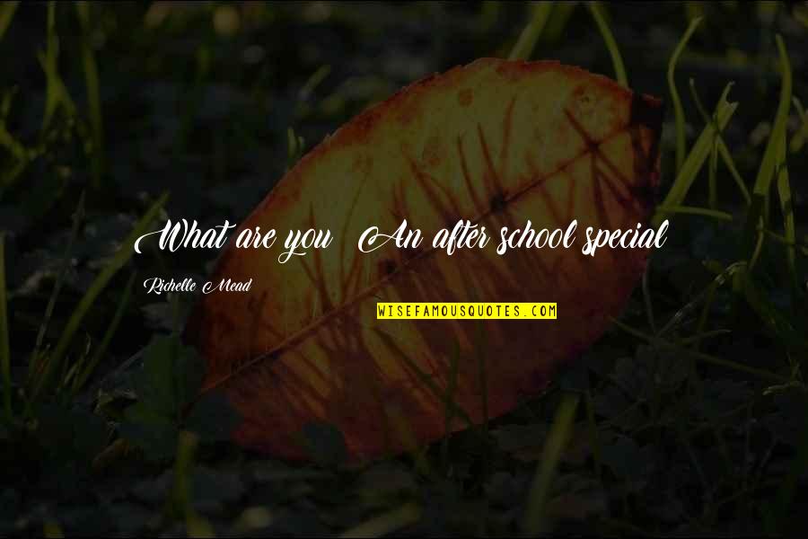 Richelle Mead Vampire Academy Quotes By Richelle Mead: What are you? An after school special?