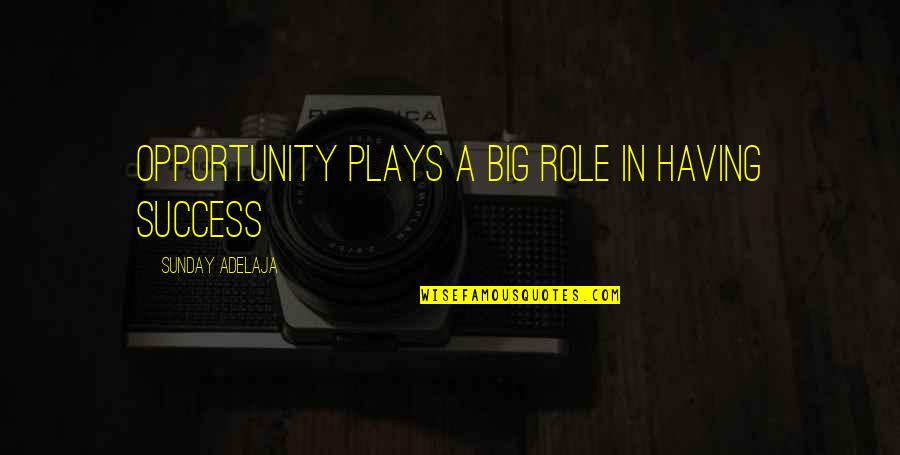 Riches Wealth Quotes By Sunday Adelaja: Opportunity plays a big role in having success