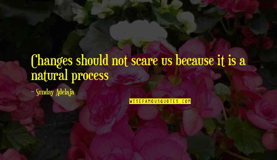 Riches Wealth Quotes By Sunday Adelaja: Changes should not scare us because it is