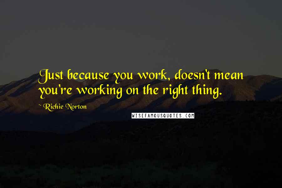 Richie Norton quotes: Just because you work, doesn't mean you're working on the right thing.