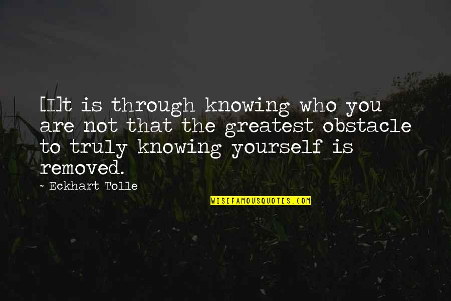 Richtige Stifthaltung Quotes By Eckhart Tolle: [I]t is through knowing who you are not