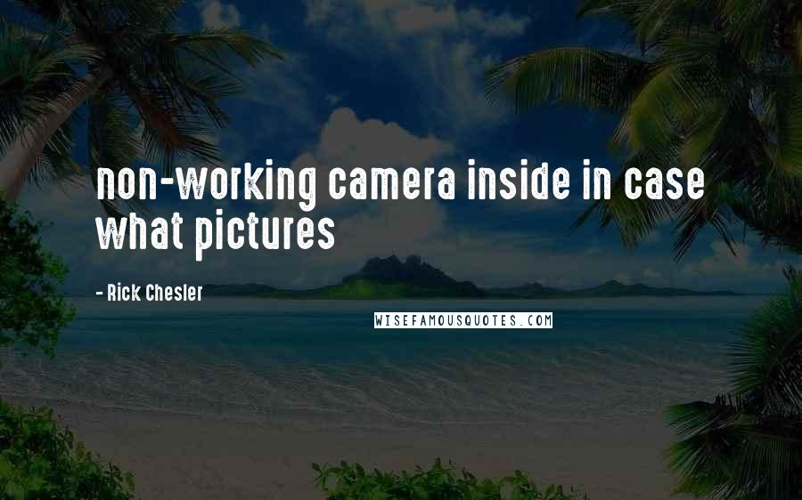 Rick Chesler quotes: non-working camera inside in case what pictures