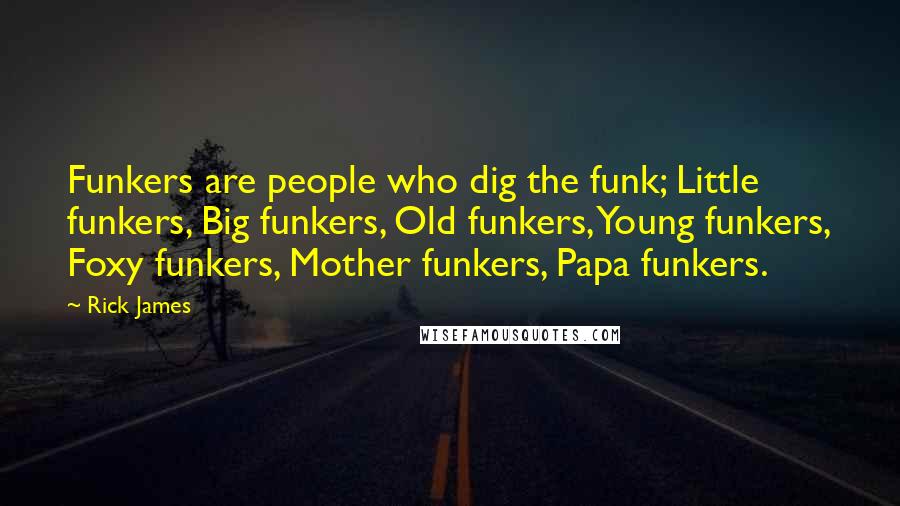 Rick James quotes: Funkers are people who dig the funk; Little funkers, Big funkers, Old funkers, Young funkers, Foxy funkers, Mother funkers, Papa funkers.