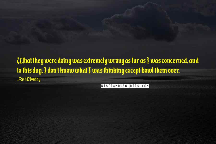Rick Monday quotes: What they were doing was extremely wrong as far as I was concerned, and to this day, I don't know what I was thinking except bowl them over.