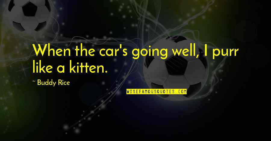 Rick Riordan Lightning Thief Quotes By Buddy Rice: When the car's going well, I purr like