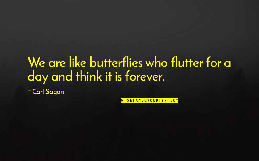 Ricky Bobby High Level Income Quote Quotes By Carl Sagan: We are like butterflies who flutter for a