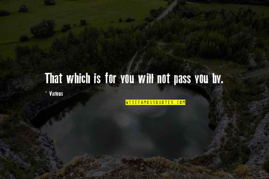Ricky Carmichael Quotes Quotes By Various: That which is for you will not pass
