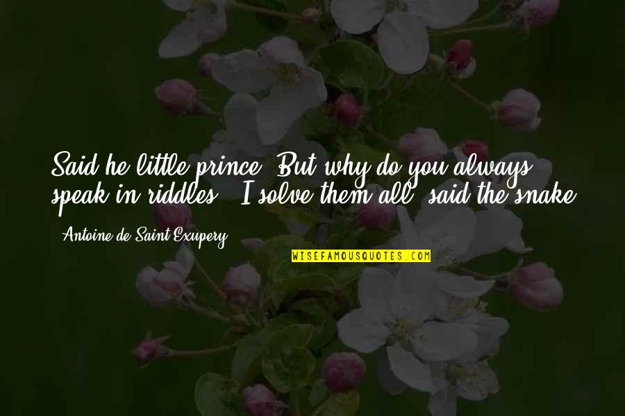 Riddles Quotes By Antoine De Saint-Exupery: Said he little prince "But why do you