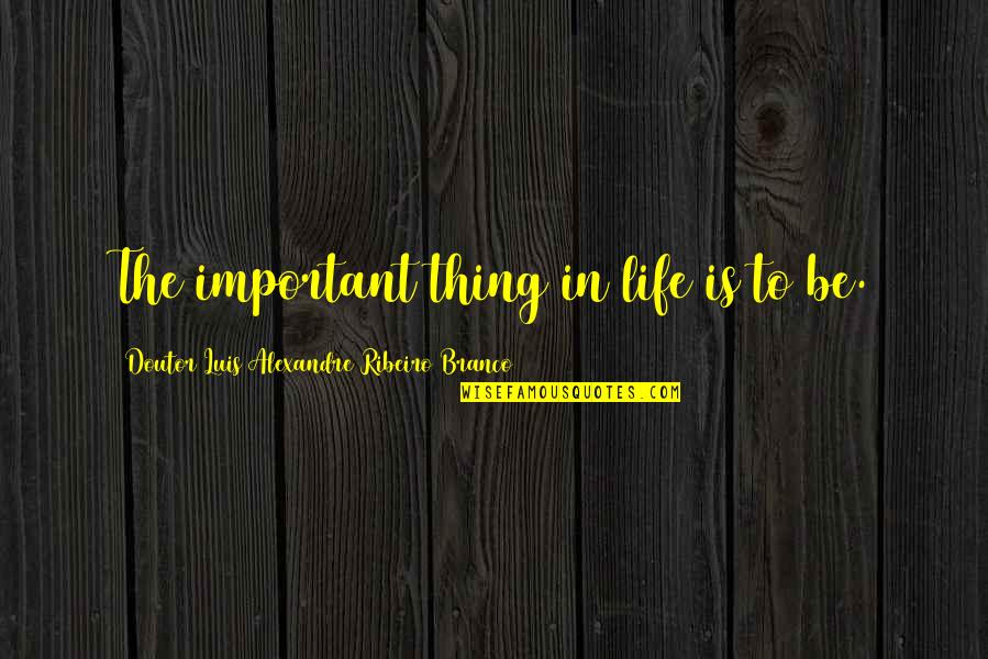 Riddy Ramos Quotes By Doutor Luis Alexandre Ribeiro Branco: The important thing in life is to be.