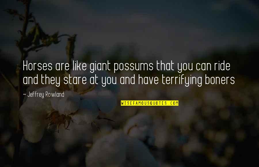 Ride At Quotes By Jeffrey Rowland: Horses are like giant possums that you can Ride At Quotes By Jeffrey Rowland: Horses are like giant possums that you can