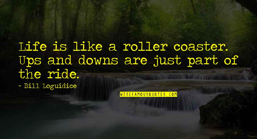 Ride To Success Quotes By Bill Loguidice: Life is like a roller coaster. Ups and