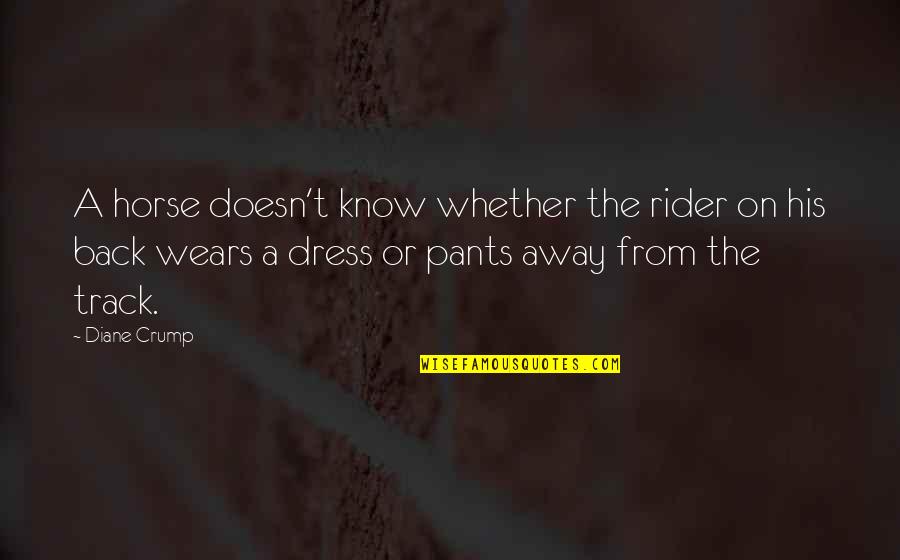 Rider And Horse Quotes By Diane Crump: A horse doesn't know whether the rider on