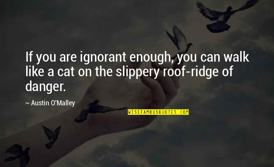 Ridge Quotes By Austin O'Malley: If you are ignorant enough, you can walk