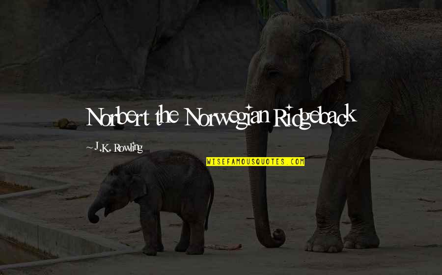Ridgeback Quotes By J.K. Rowling: Norbert the Norwegian Ridgeback