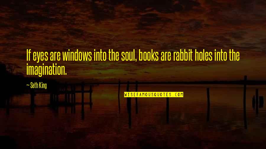 Ridiculous American Quotes By Seth King: If eyes are windows into the soul, books