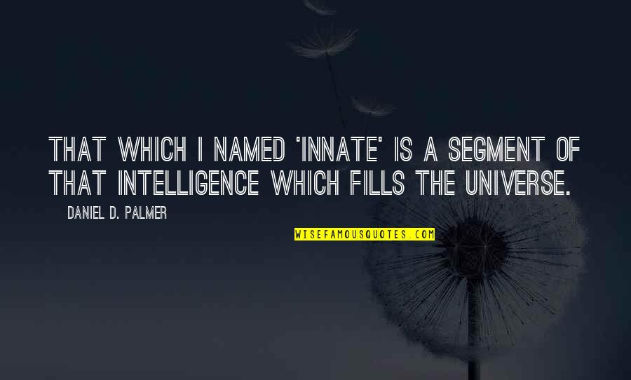 Ridiculous Fast And Furious Quotes By Daniel D. Palmer: That which I named 'innate' is a segment
