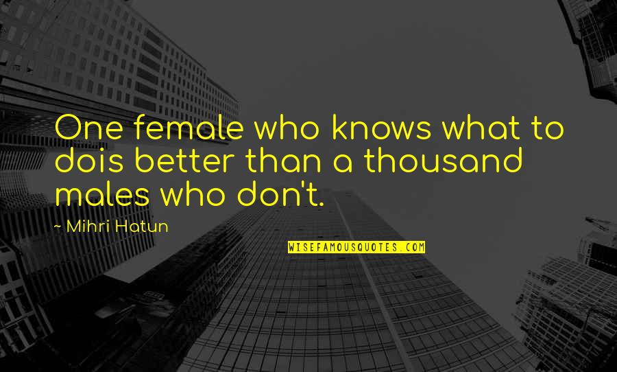 Ridiculous Inspirational Quotes By Mihri Hatun: One female who knows what to dois better