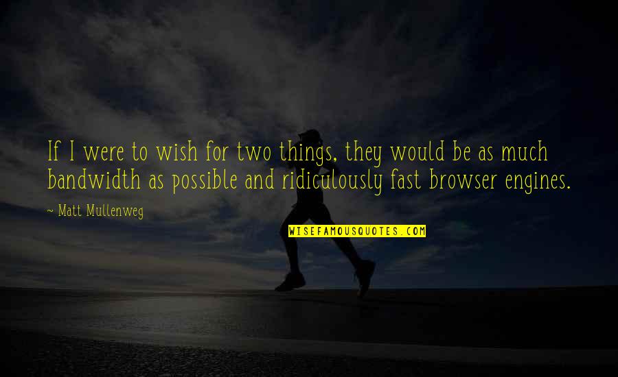 Ridiculously Quotes By Matt Mullenweg: If I were to wish for two things,