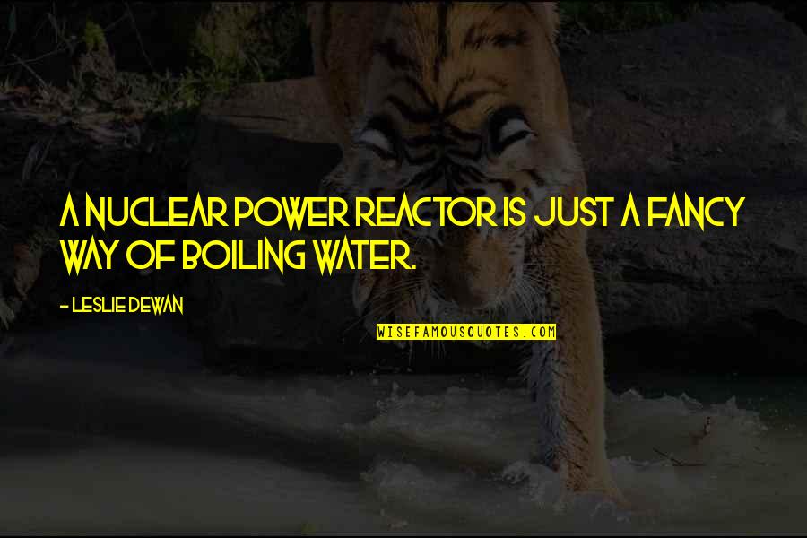 Ridyadh Quotes By Leslie Dewan: A nuclear power reactor is just a fancy