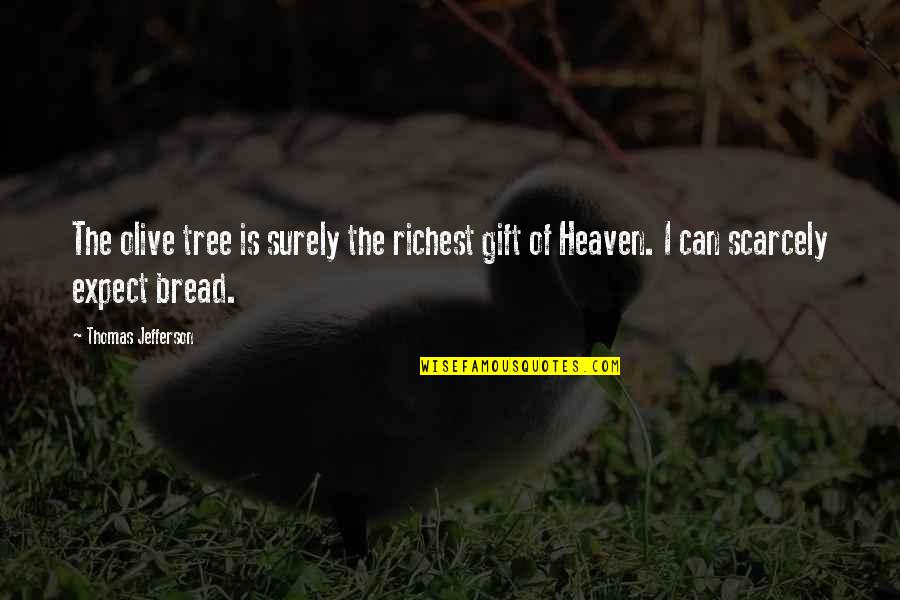 Rieger Hotel Quotes By Thomas Jefferson: The olive tree is surely the richest gift
