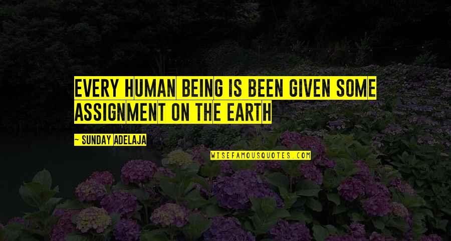 Rienish Quotes By Sunday Adelaja: Every human being is been given some assignment