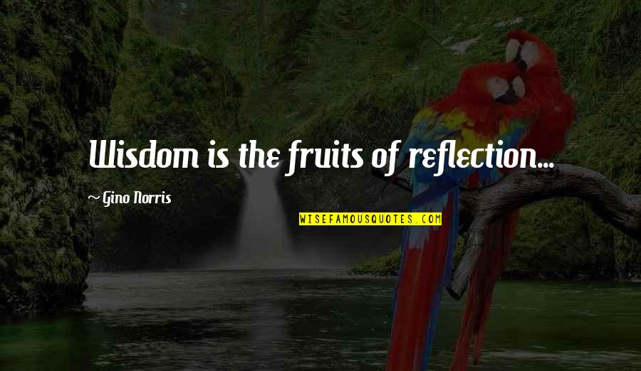 Riesige Augen Quotes By Gino Norris: Wisdom is the fruits of reflection...