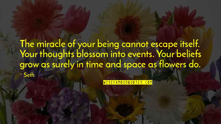 Rieu Cua Quotes By Seth: The miracle of your being cannot escape itself.