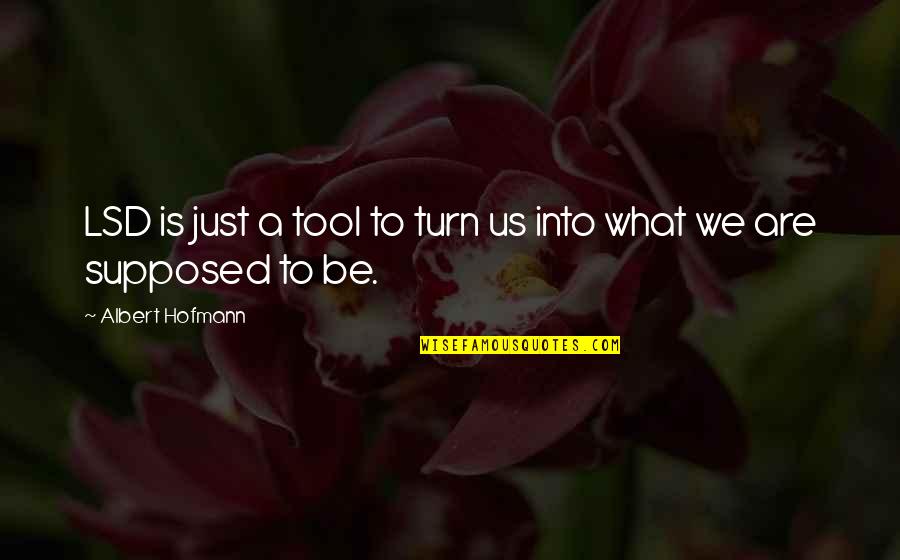 Rifkind Law Quotes By Albert Hofmann: LSD is just a tool to turn us Rifkind Law Quotes By Albert Hofmann: LSD is just a tool to turn us