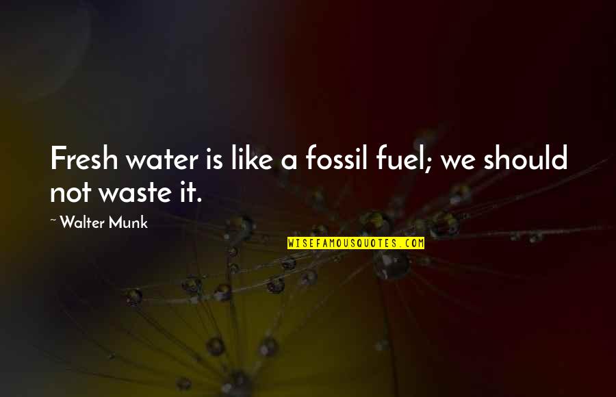 Rifleman Squad Quotes By Walter Munk: Fresh water is like a fossil fuel; we