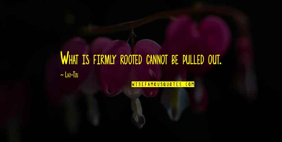 Riflessioni Morali Quotes By Lao-Tzu: What is firmly rooted cannot be pulled out.