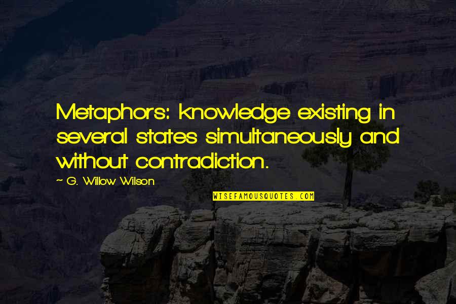 Rig Pig Quotes By G. Willow Wilson: Metaphors: knowledge existing in several states simultaneously and
