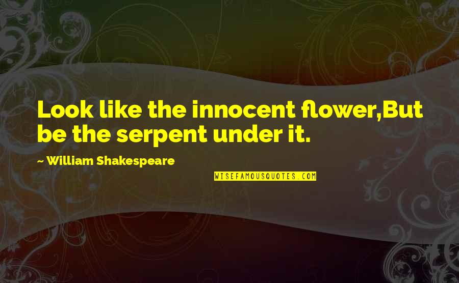 Rigadoon Purcell Quotes By William Shakespeare: Look like the innocent flower,But be the serpent Rigadoon Purcell Quotes By William Shakespeare: Look like the innocent flower,But be the serpent