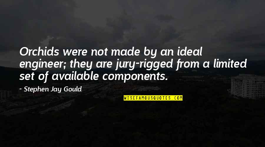Rigged Quotes By Stephen Jay Gould: Orchids were not made by an ideal engineer; Rigged Quotes By Stephen Jay Gould: Orchids were not made by an ideal engineer;