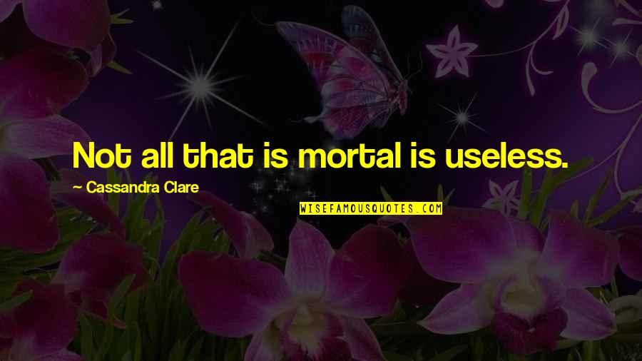 Rigger Quotes By Cassandra Clare: Not all that is mortal is useless.