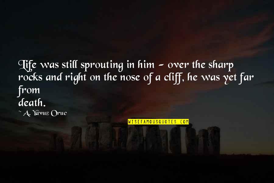 Right And Life Quotes By A. Yavuz Oruc: Life was still sprouting in him - over Right And Life Quotes By A. Yavuz Oruc: Life was still sprouting in him - over
