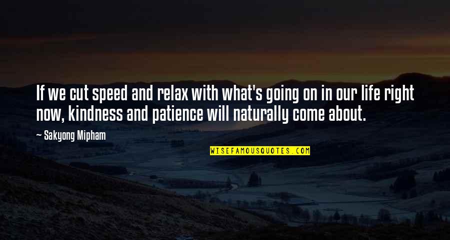 Right And Life Quotes By Sakyong Mipham: If we cut speed and relax with what's Right And Life Quotes By Sakyong Mipham: If we cut speed and relax with what's