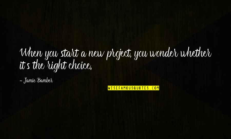 Right Choice Quotes By Jamie Bamber: When you start a new project, you wonder