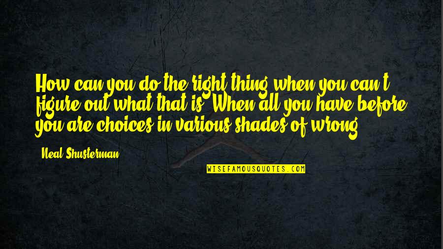 Right Choices Quotes By Neal Shusterman: How can you do the right thing when