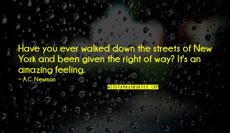 Right Feelings Quotes By A.C. Newman: Have you ever walked down the streets of