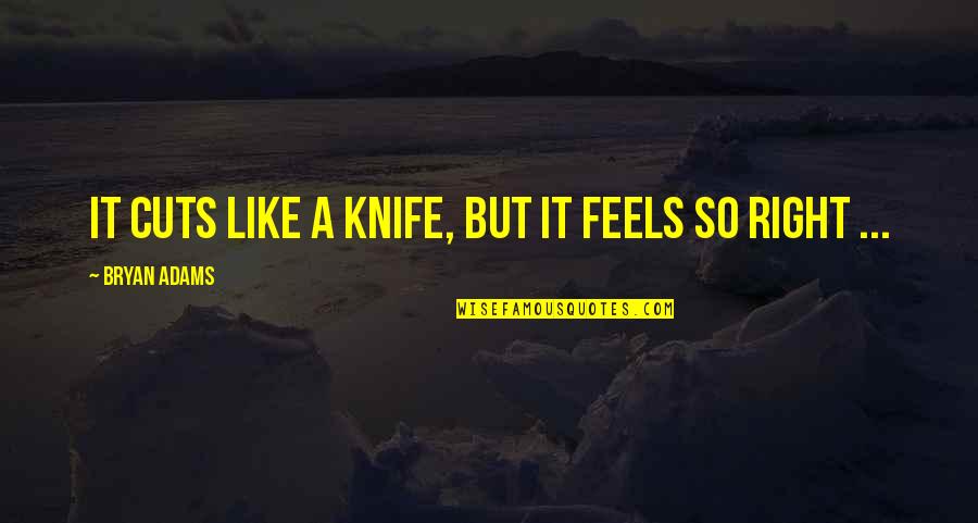 Right Feelings Quotes By Bryan Adams: It cuts like a knife, but it feels