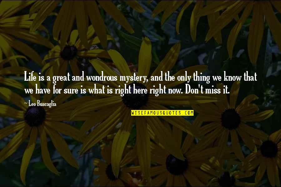 Right For Life Quotes By Leo Buscaglia: Life is a great and wondrous mystery, and