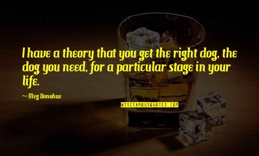 Right For Life Quotes By Meg Donohue: I have a theory that you get the
