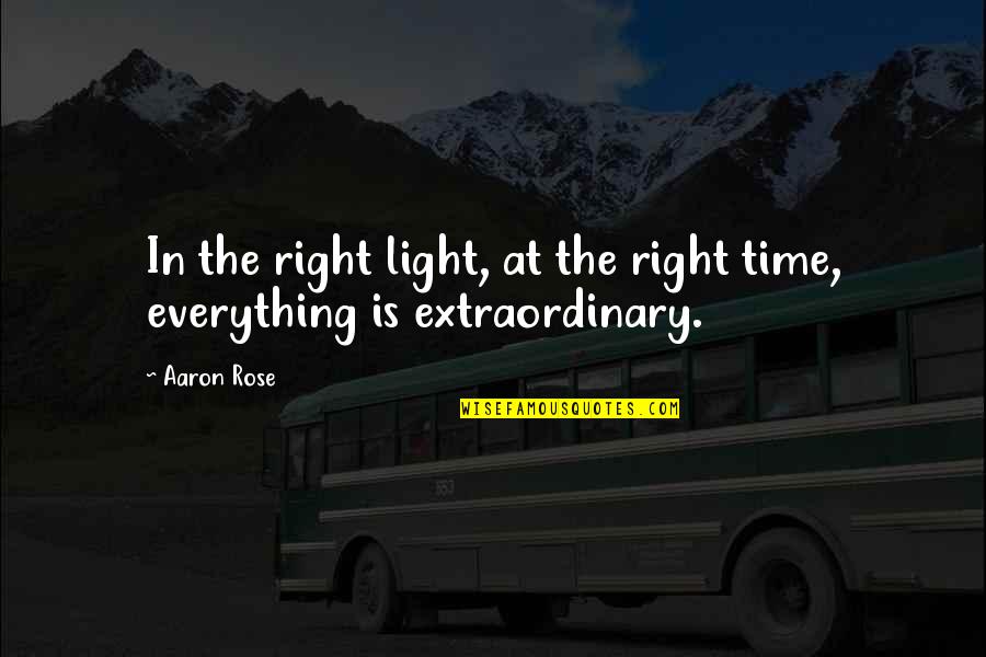 Right Time For Everything Quotes By Aaron Rose: In the right light, at the right time,