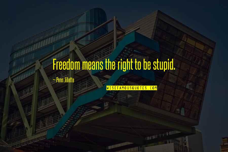 Right To Freedom Quotes By Penn Jillette: Freedom means the right to be stupid.