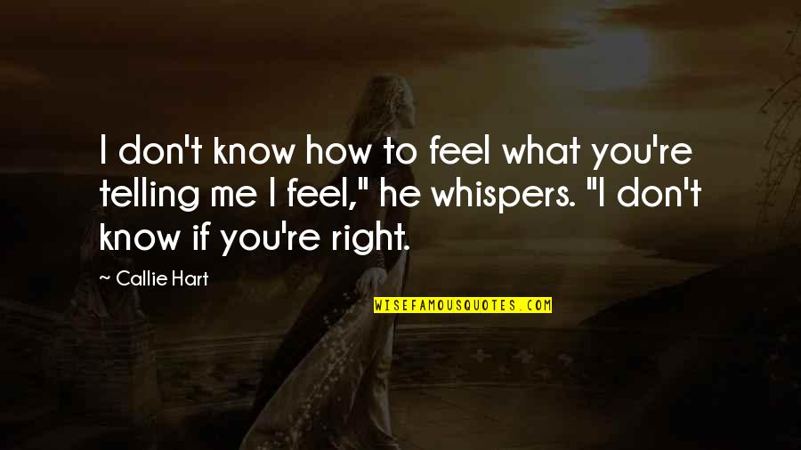 Right To Know Quotes By Callie Hart: I don't know how to feel what you're