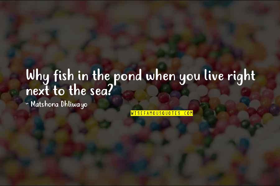 Right To Live Quotes By Matshona Dhliwayo: Why fish in the pond when you live