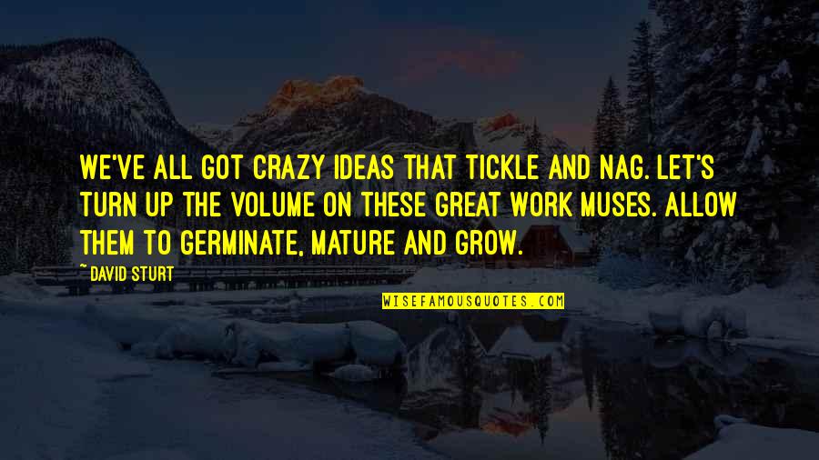 Right To Work Quotes By David Sturt: We've all got crazy ideas that tickle and