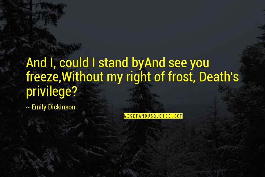 Right Vs. Privilege Quotes By Emily Dickinson: And I, could I stand byAnd see you