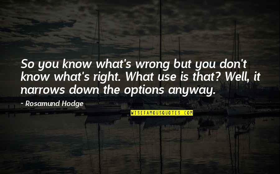 Right What Is Wrong Quotes By Rosamund Hodge: So you know what's wrong but you don't
